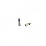 iPhone 5 Bottom Screws (2 Pieces) - Silver